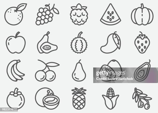 bildbanksillustrationer, clip art samt tecknat material och ikoner med frukt line ikoner - apelsin