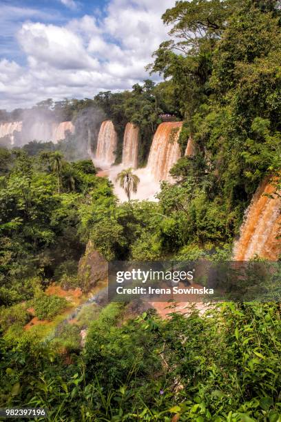 fos de iguazu - iguacu falls stockfoto's en -beelden