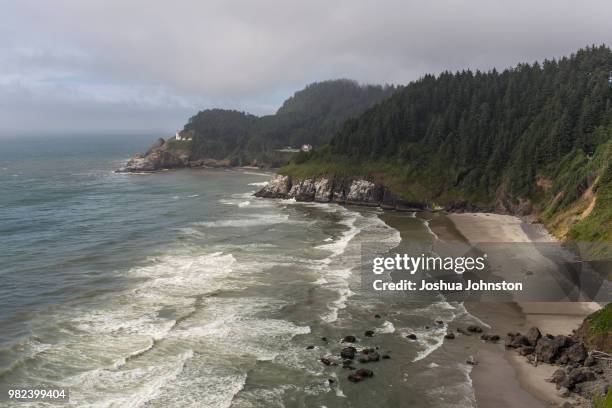 heceta head - heceta head stock pictures, royalty-free photos & images
