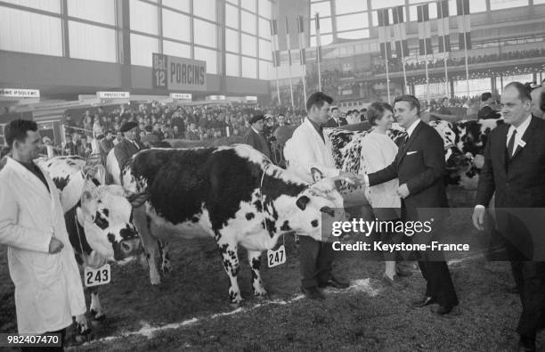 Robert Boulin, ministre de l'Agriculture, félicitant le propriétaire des bêtes primées au salon de l'agriculture à la porte de Versailles à Paris en...