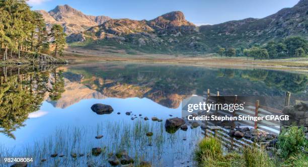 blea tarn and the langdale pikes - langdale pikes stock pictures, royalty-free photos & images