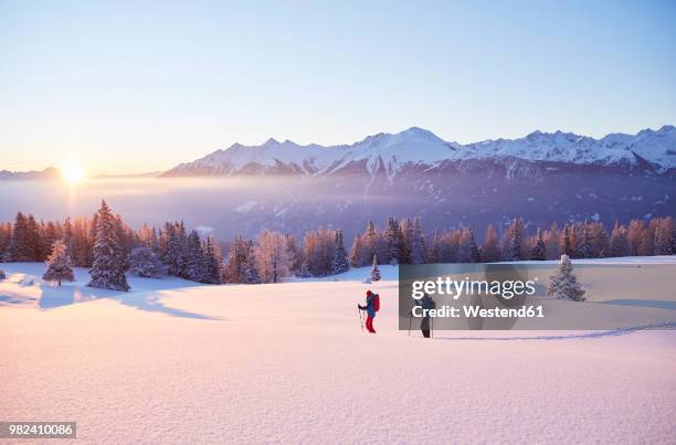 austria, tyrol, couple snowshoeing at sunrise - österreich winter stock-fotos und bilder