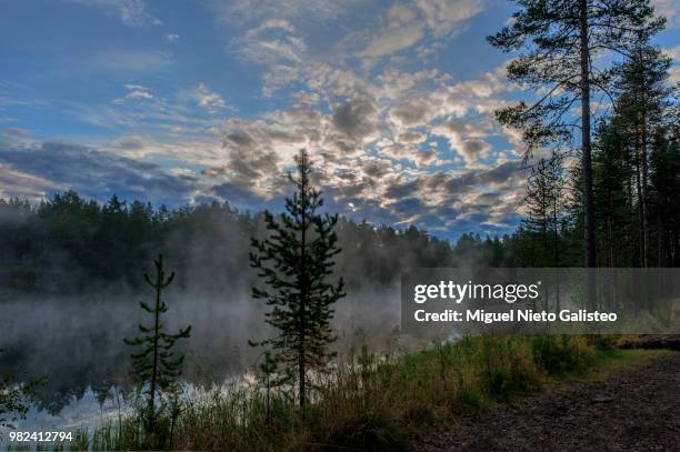 niebla en el lago - el fin stock pictures, royalty-free photos & images