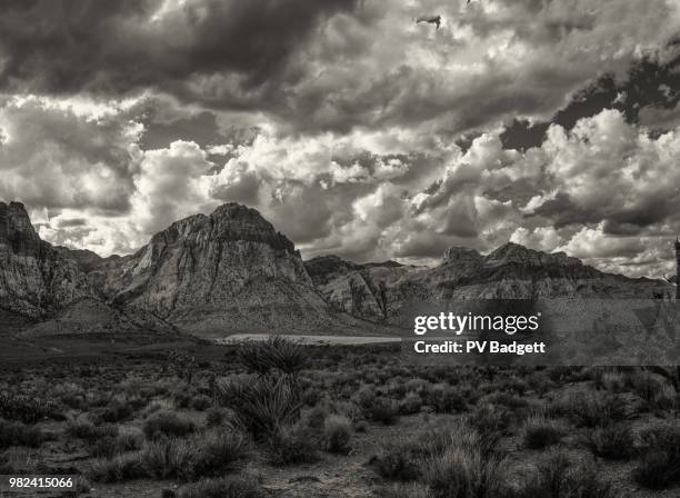 spring mountains - spring mountains stock pictures, royalty-free photos & images