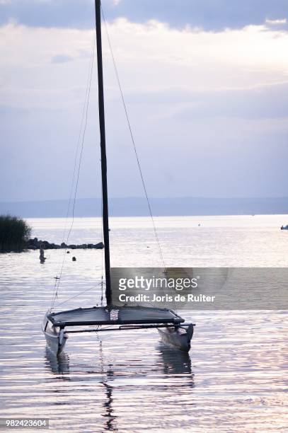 catamaran - ruiter stock pictures, royalty-free photos & images