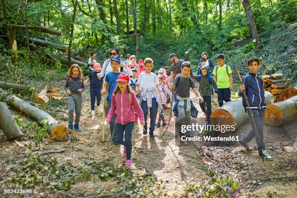 adults and kids on a field trip in forest - field trip ストックフォトと画像