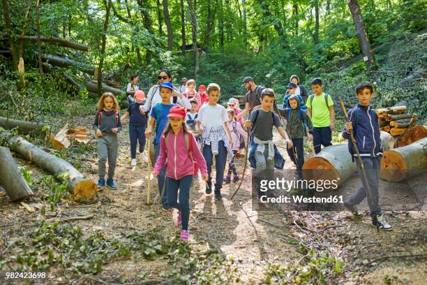 adults and kids on a field trip in forest - field trip stock pictures, royalty-free photos & images