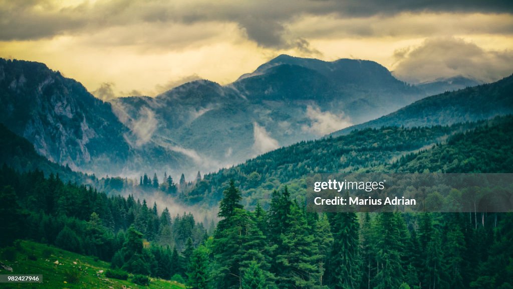 The Carpathian Mountains in Romania