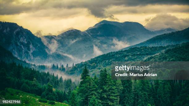 the carpathian mountains in romania - romania stock pictures, royalty-free photos & images
