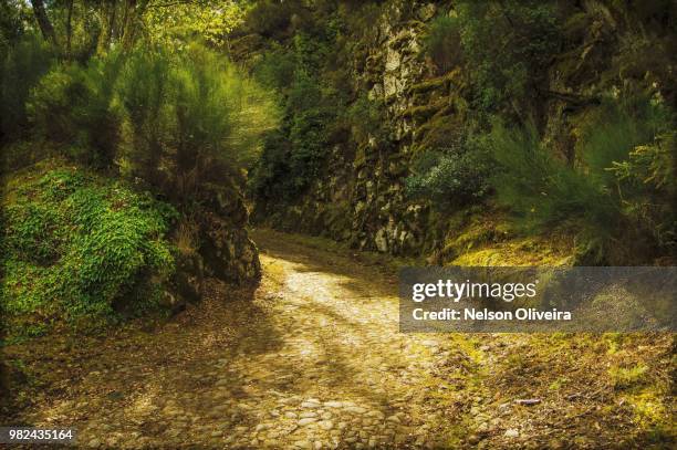 caminhos relaxantes resided - caminhos stock pictures, royalty-free photos & images