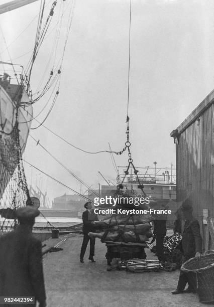 Chargement d'un navire sur les docks à Londres en Angleterre au Royaume-Uni, en 1936.