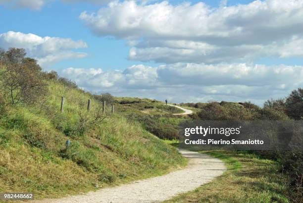 wandelpad in het natuurgebied de berkheide (the netherlands) - natuurgebied stock-fotos und bilder