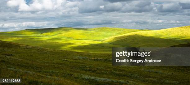 on the hills of the manzhouli 2 - andreev stock pictures, royalty-free photos & images