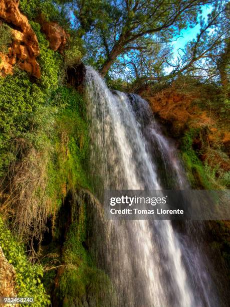 monasterio de piedra ii - llorente stock pictures, royalty-free photos & images