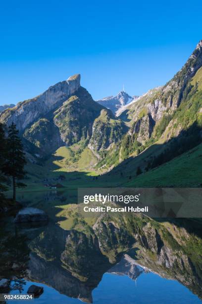 seealpsee - appenzell innerrhoden stock pictures, royalty-free photos & images