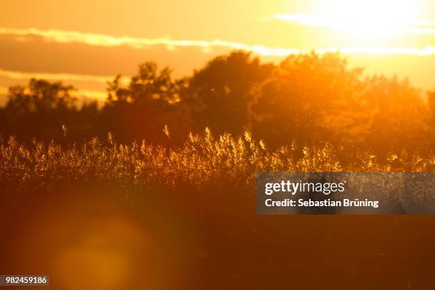 sunset @ kalmar - kalmar ストックフォトと画像