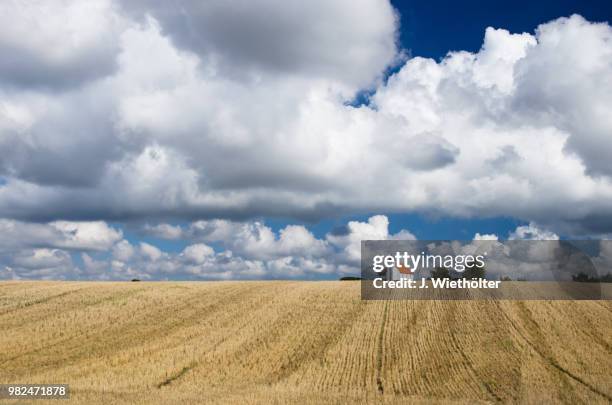 weite - weite stockfoto's en -beelden