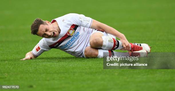 Dominik Kohr of Leverkusen on the ground after a foul during the German Bundesliga football match between SC Freiburg and Bayer Leverkusen at the...