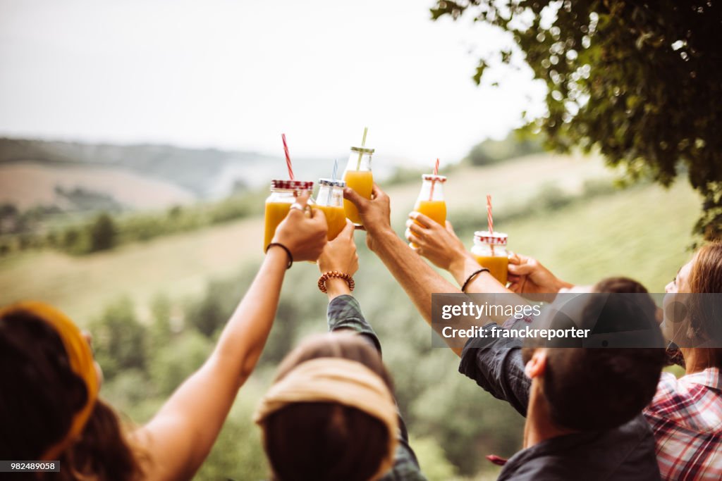 Friends cheering orange juices outdoors togetherness