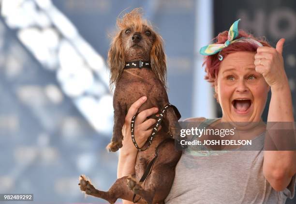 Heather Wilson holds up her dog Himisaboo, a Chinese Crested Wiener Dog mix, during The World's Ugliest Dog Competition in Petaluma, north of San...