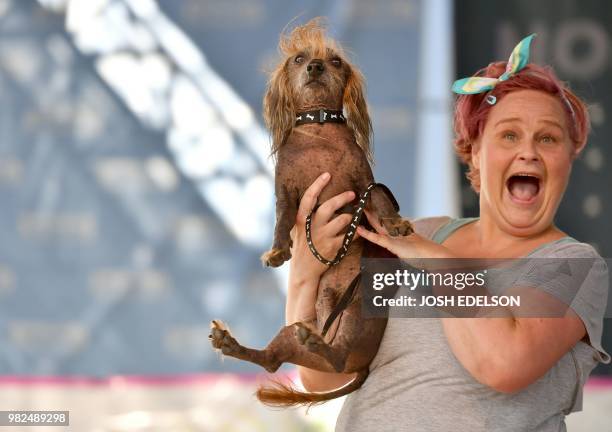 Heather Wilson holds up her dog Himisaboo, a Chinese Crested Wiener Dog mix, during The World's Ugliest Dog Competition in Petaluma, north of San...