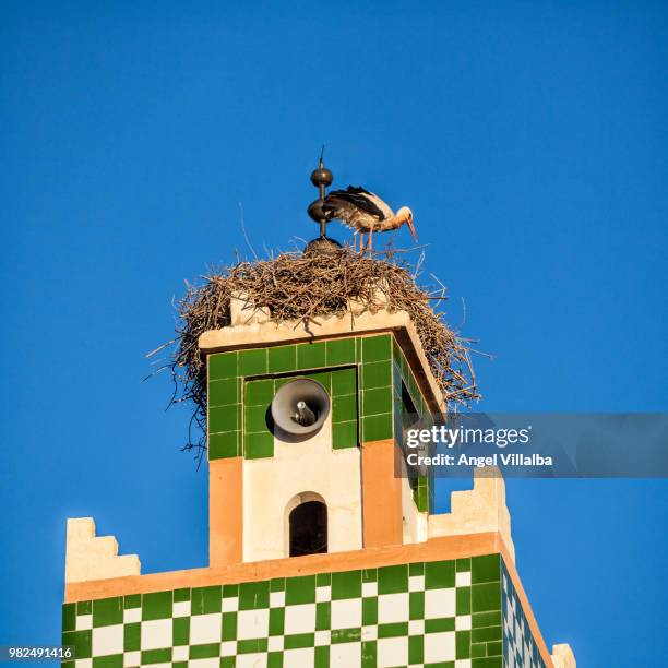 Stork Rower 980 Stork Tower Stock Photos, High-Res Pictures, and Images - Getty Images