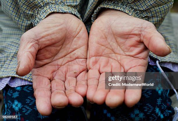 hands of the old female farmer  - hands cupped 個照片及圖片檔