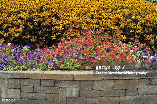 flowerbed - saginaw michigan stock pictures, royalty-free photos & images