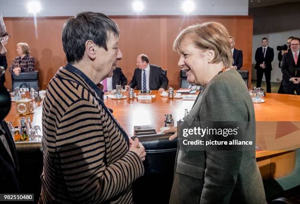 German chancellor Angela Merkel speaks to minister of the environment Barbara Hendricks at the federal chancellery in Berlin, Germany, 31 January...