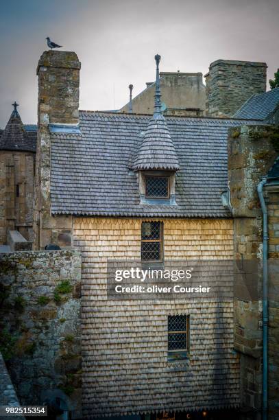 mont saint michel - coursier stock pictures, royalty-free photos & images