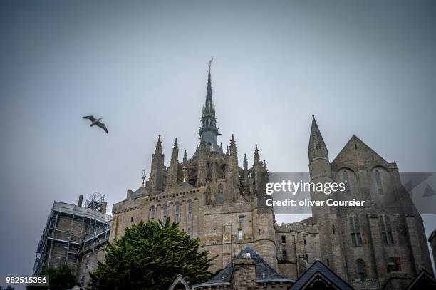 mont saint michel - coursier stock pictures, royalty-free photos & images