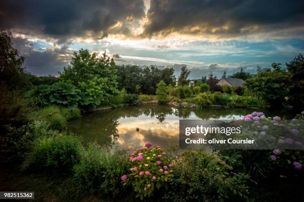 jardin en normandie - coursier stock pictures, royalty-free photos & images