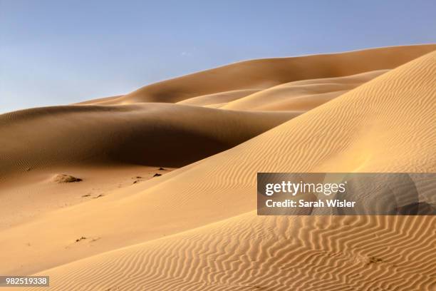 sand dune 2 - sarah sands stock pictures, royalty-free photos & images