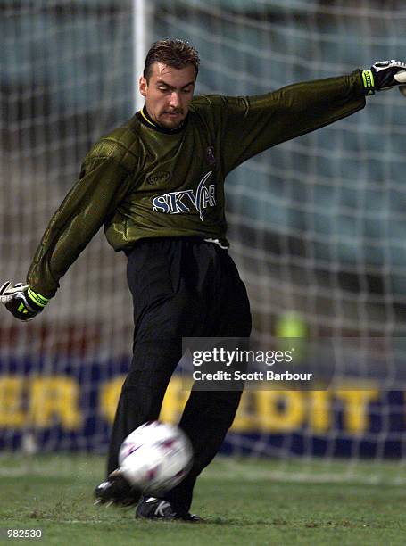 Melbourne Knights goalkeeper Lupce Acevski in action during the Parramatta Power v Melbourne Knights NSL match played at Parramatta Stadium, Sydney,...