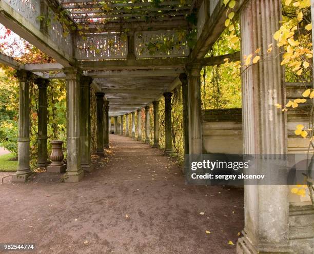 tsarskoye selo - selo stock-fotos und bilder