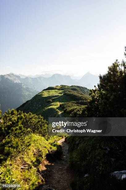 österreich tirol - achensee - österreich fotografías e imágenes de stock