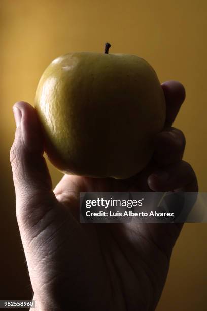 apple / manzana - manzana stockfoto's en -beelden