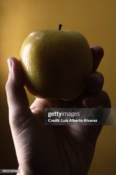 apple / manzana - manzana stock pictures, royalty-free photos & images