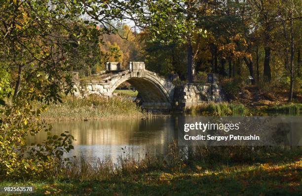 Гатчина осенью. Вечерние пейзажи Дворцового парка Осенние . Flickr