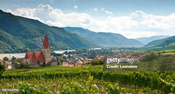 met het oog op het bekende stadje "weissenkirchen an der donau" - donau-vallei - oostenrijk - donau vallei stockfoto's en -beelden