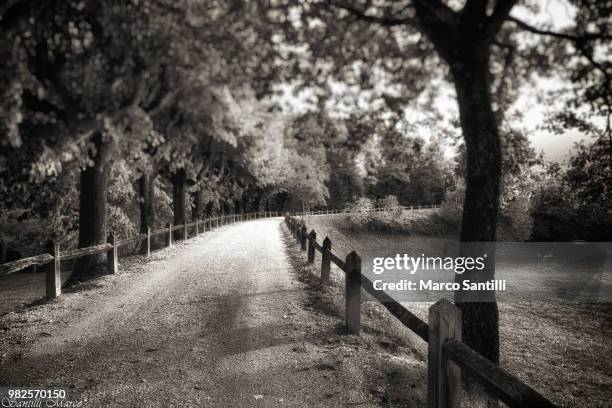 segui il sentiero - sentiero fotografías e imágenes de stock