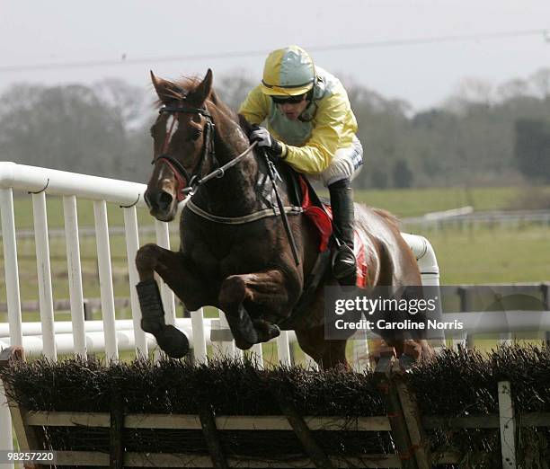 Mourad ridden by jockey Ruby Walsh clears a hurdle before winning the Ladbrokes.com Hurdle at the 2010 Irish Grand National meeting at Fairyhouse...