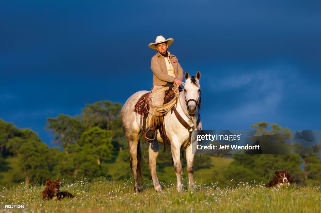 Portrait of middle-aged cowgirl on horse, California, USA