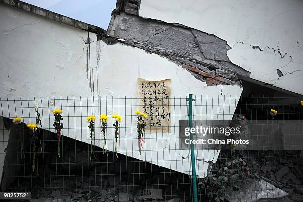 Chrysanthemums are left for students and teachers who died in the Sichuan earthquake on May 12 at the site of Xuankou Middle School on April 5, 2010...