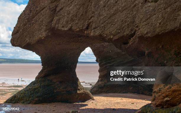 hopewell rocks, new brunswick - flower pot island stock pictures, royalty-free photos & images