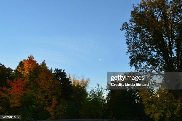 que vois-je? la lune! - lune stock pictures, royalty-free photos & images