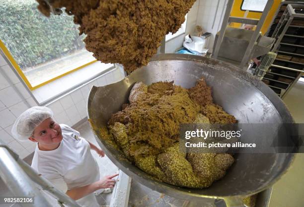 Bianca Engel fills dough for wholemeal bread into the portion machine at the company 'Mecklenburger Backstuben' in Waren, Germany, 31 January 2018....