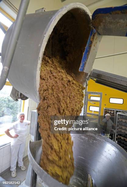 Bianca Engel fills dough for wholemeal bread into the portion machine at the company 'Mecklenburger Backstuben' in Waren, Germany, 31 January 2018....