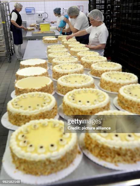 Employees prepare marzipan cakes at the confectionery of the company 'Mecklenburger Backstuben' in Waren, Germany, 31 January 2018. The company does...