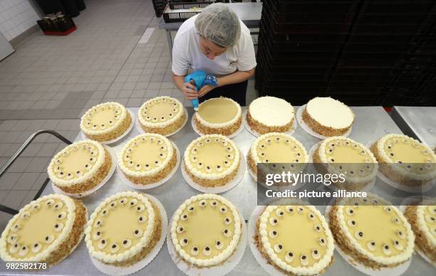 Katrin Gusch decorates marzipan cakes at the confectionery of the company 'Mecklenburger Backstuben' in Waren, Germany, 31 January 2018. The company...